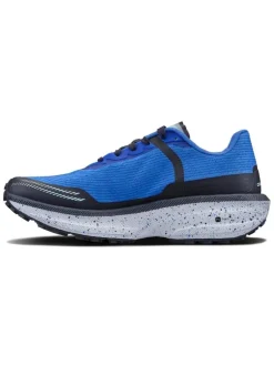 Men's Endurance Trail Running Shoe - Platinum/Rift